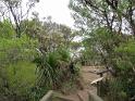 (7) Mount Warning Summit platform